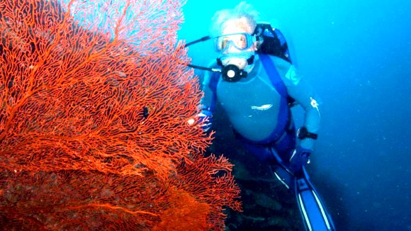 Photo from the movie L'océan secret de Jean-Michel Cousteau