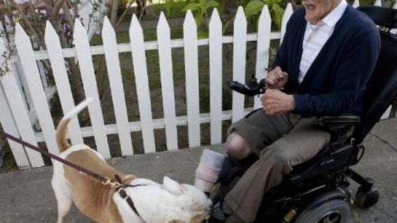 Photo du film Jackass 3