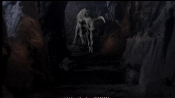 Photo du film Minotaur