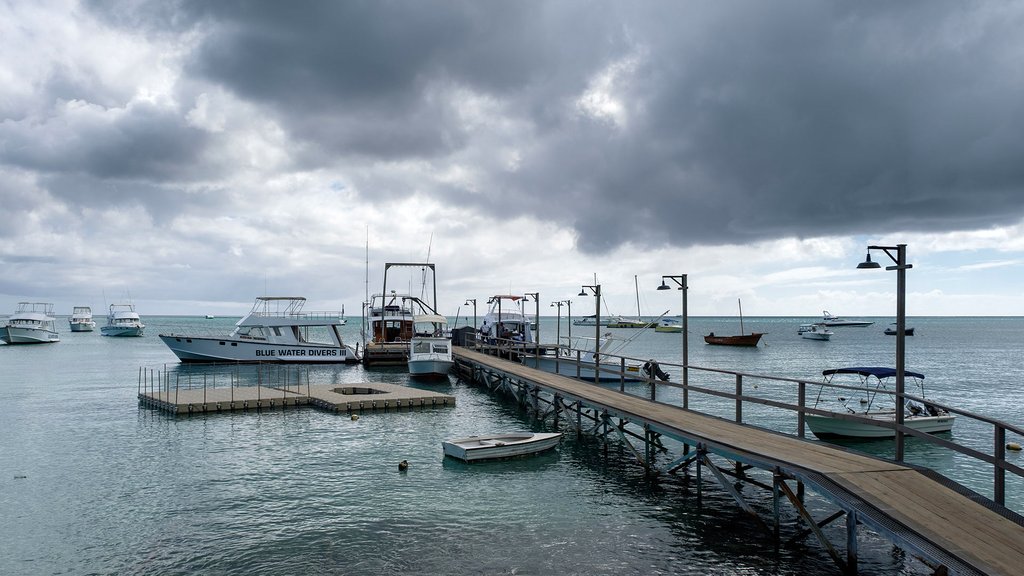 Photo du film Sérénité