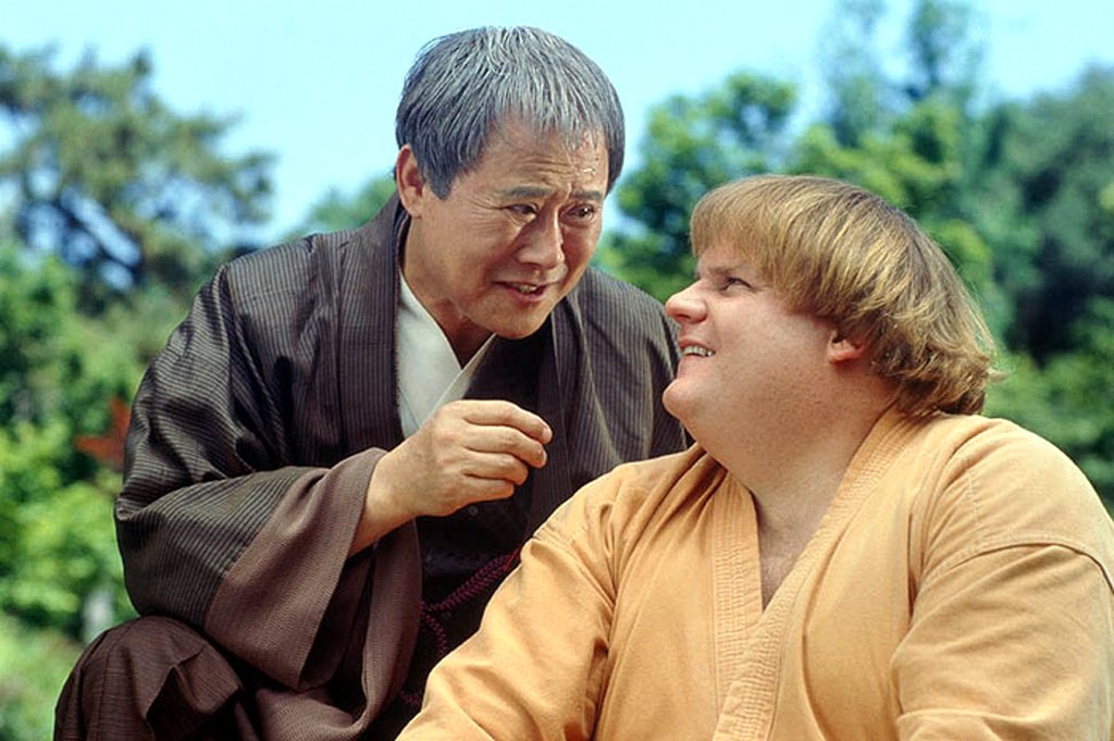 Photo du film Beverly Hills Ninja