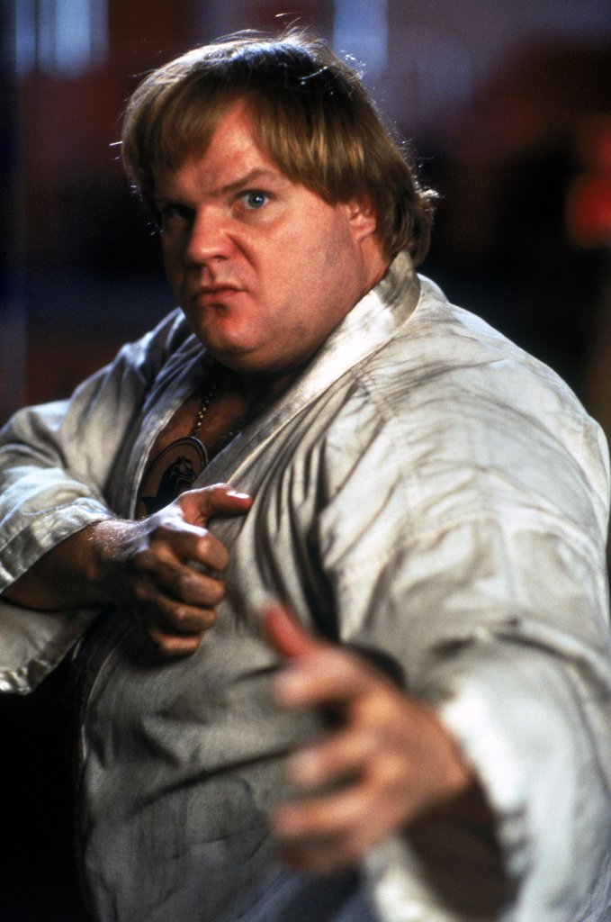 Photo du film Beverly Hills Ninja