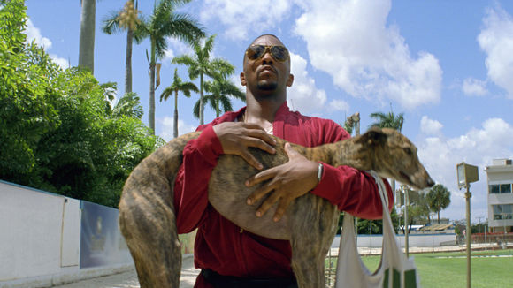 Photo from the movie Pain & Gain