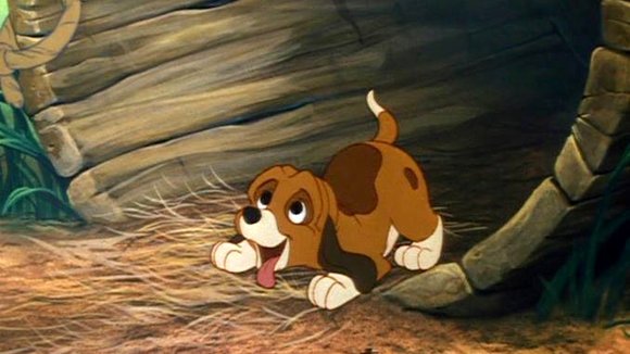 Photo from the movie The Fox and the Hound
