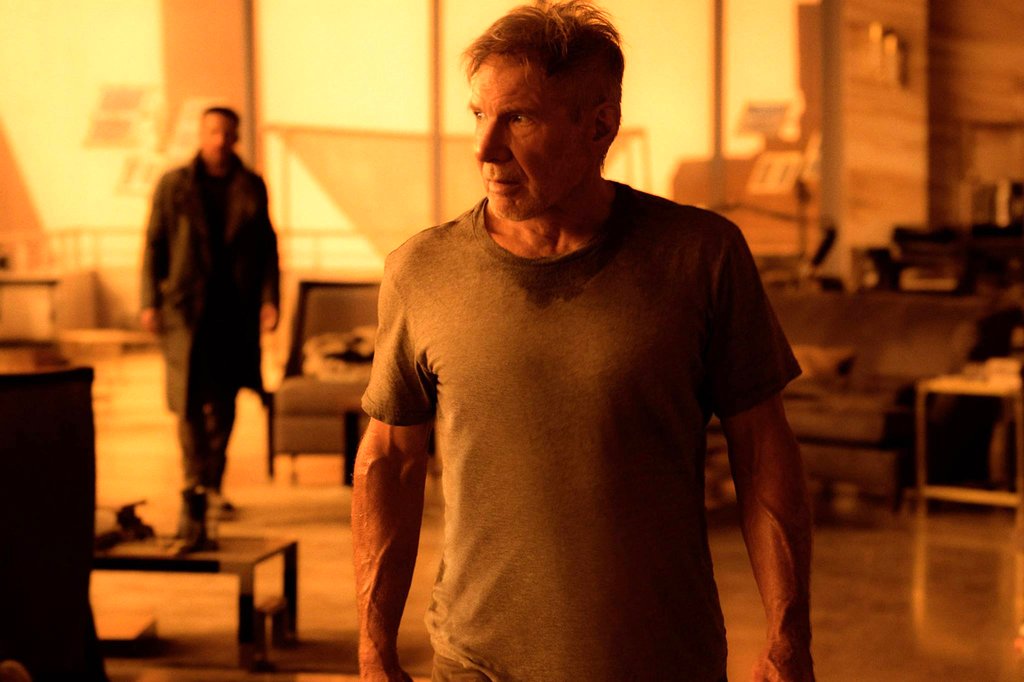 Photo du film Blade Runner 2049 v.f.