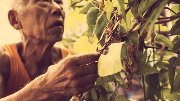 Photo from the movie Cutie and the Boxer