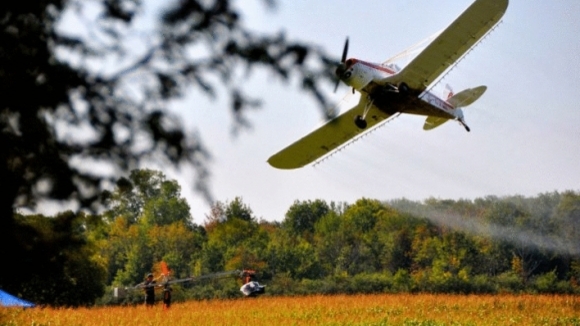 Photo from the movie Flight of the Butterflies