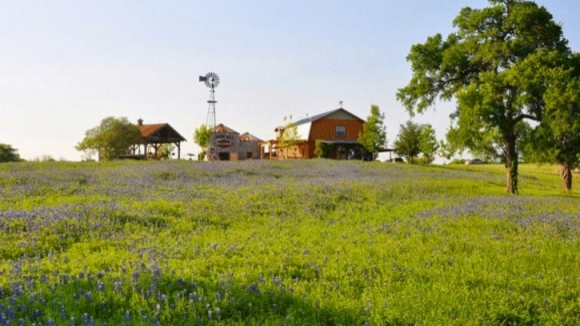 Photo from the movie Flight of the Butterflies