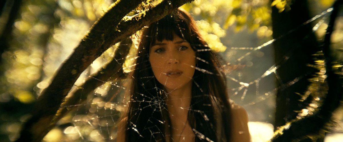 Photo du film Madame Web