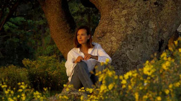 Photo du film Nordeste