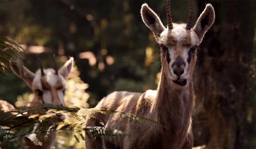 Photo from the movie The Lion King