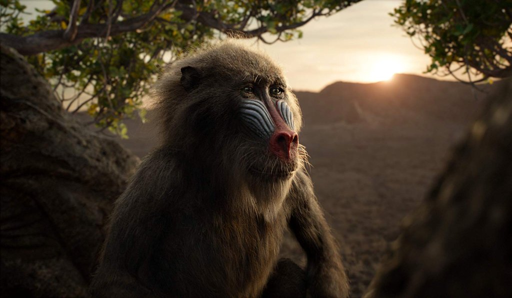 Photo from the movie The Lion King
