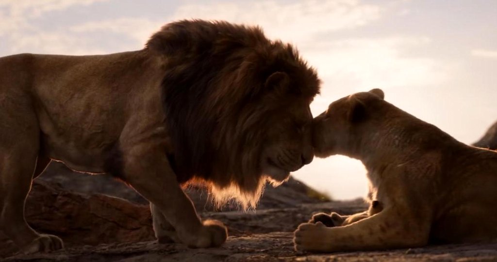 Photo from the movie The Lion King