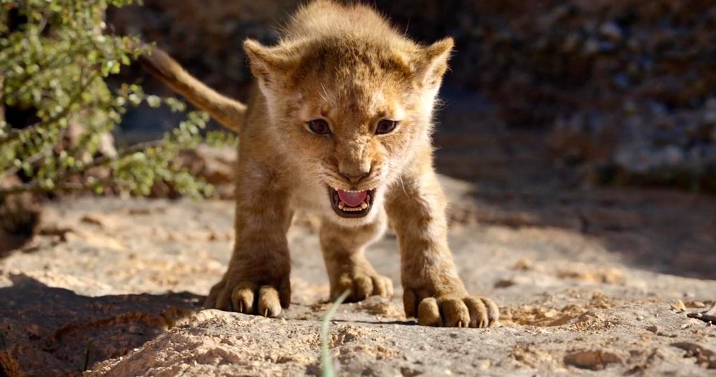 Photo from the movie The Lion King