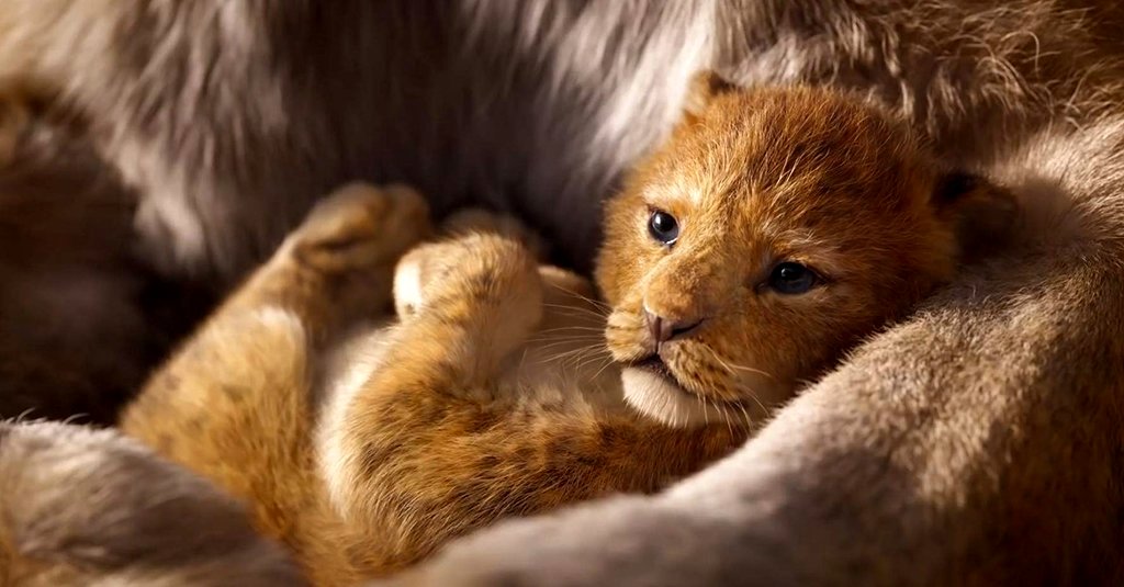 Photo from the movie The Lion King