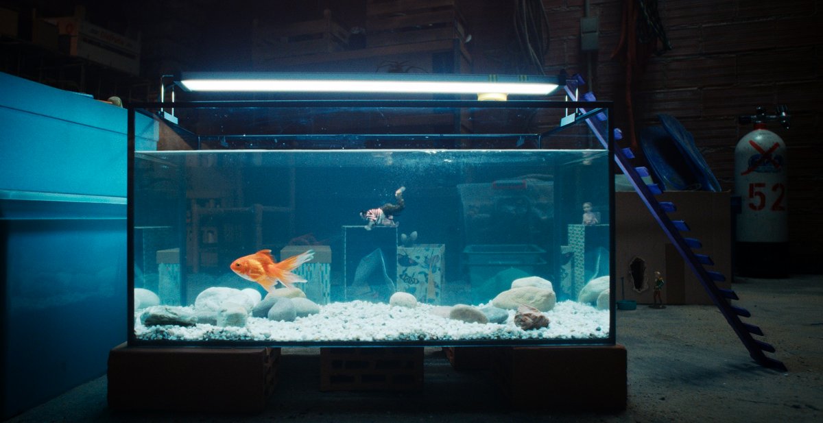 Photo du film L'homme qui rétrécit