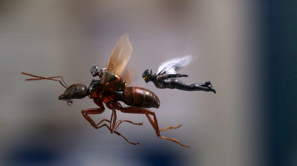 Photo from the movie Ant-Man and the Wasp