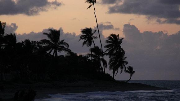 Photo du film Blue Caprice