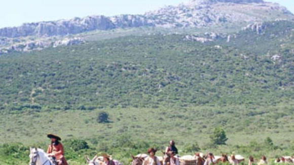 Photo du film Le pont du roi Saint-Louis