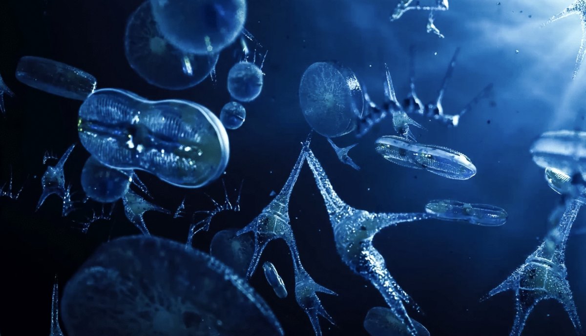 Photo from the movie Ocean Odyssey