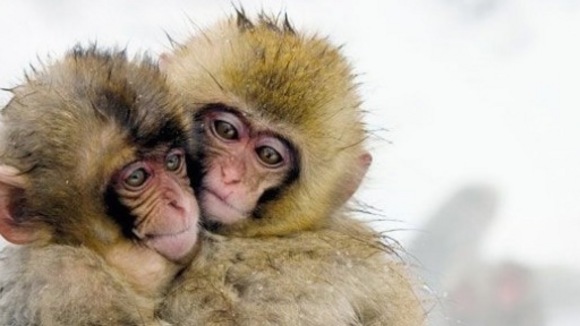 Photo du film Une Vie