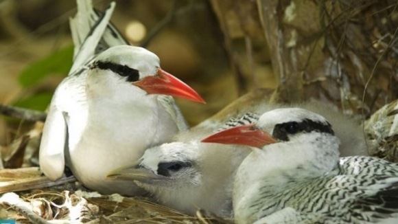 Photo du film Une Vie