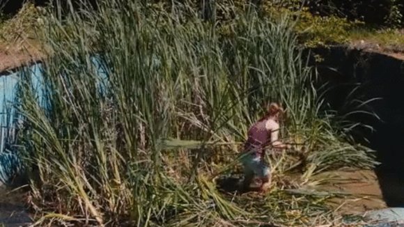 Photo du film Aire libre