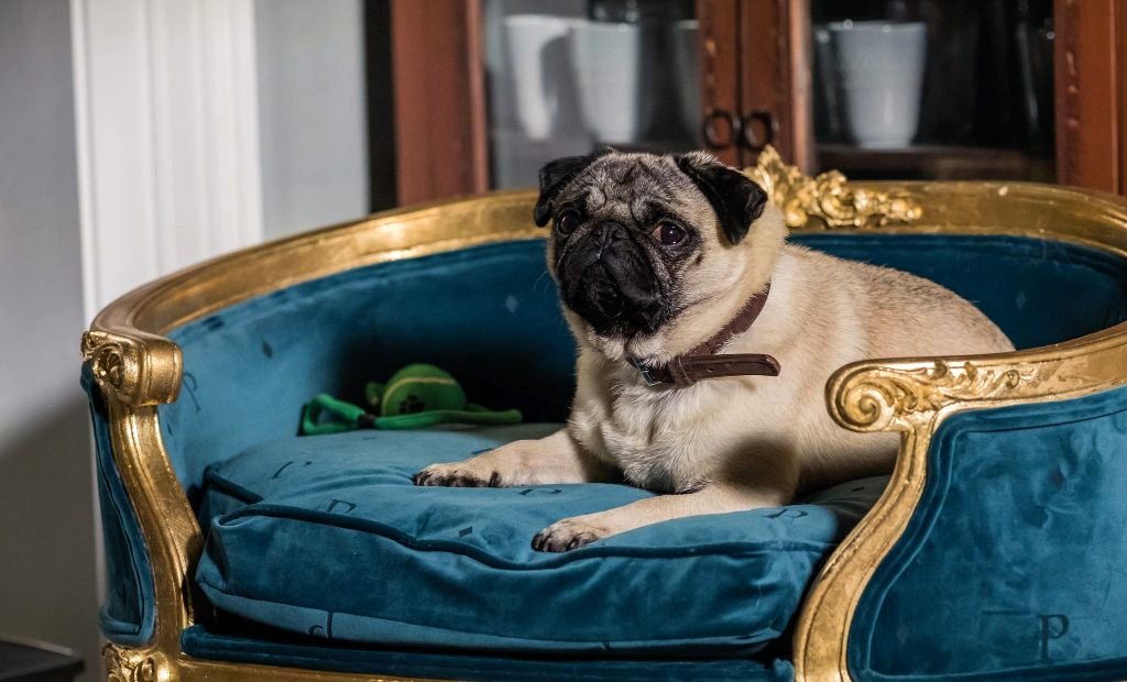 Photo from the movie Patrick