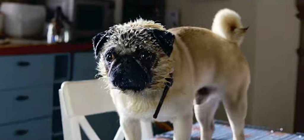 Photo from the movie Patrick