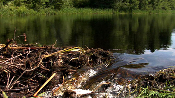 Photo from the movie Gifts from the Elders [2013]