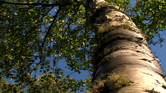 Photo from the movie Gifts from the Elders [2013]