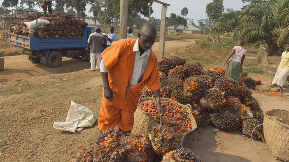 Photo du film Sans terre, c'est la faim