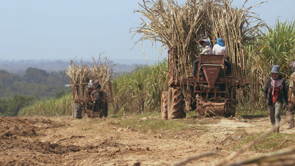 Photo du film Sans terre, c'est la faim