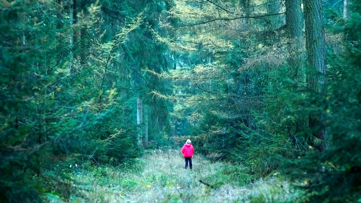 Photo from the movie System Crasher