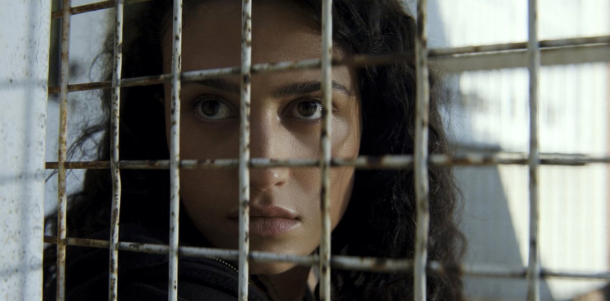 Photo du film The Terminal List: Dark Wolf