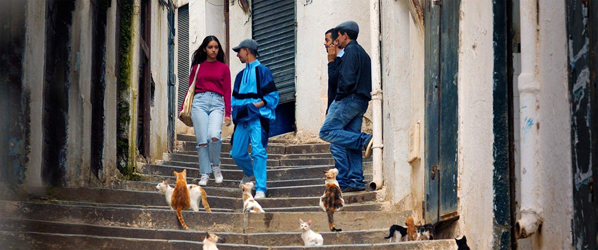 Photo du film Papicha