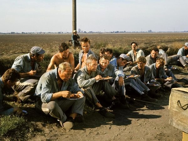 Photo from the movie Cool Hand Luke