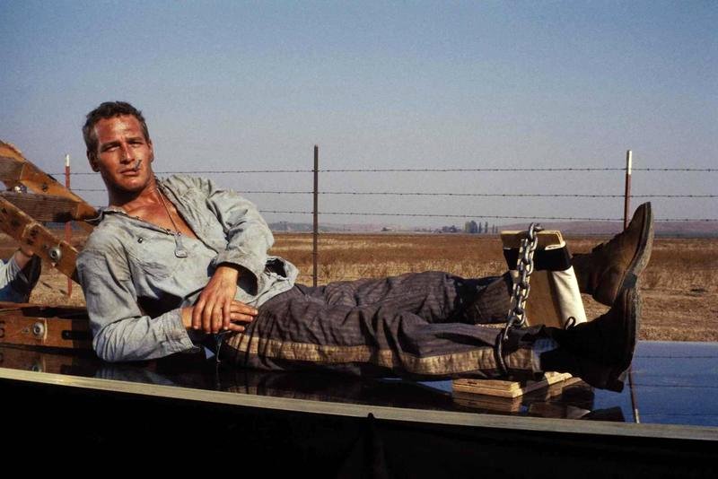 Photo from the movie Cool Hand Luke
