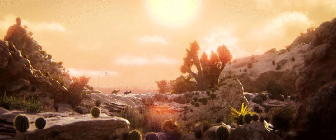 Photo du film Les aventures de Gracie et Pedro