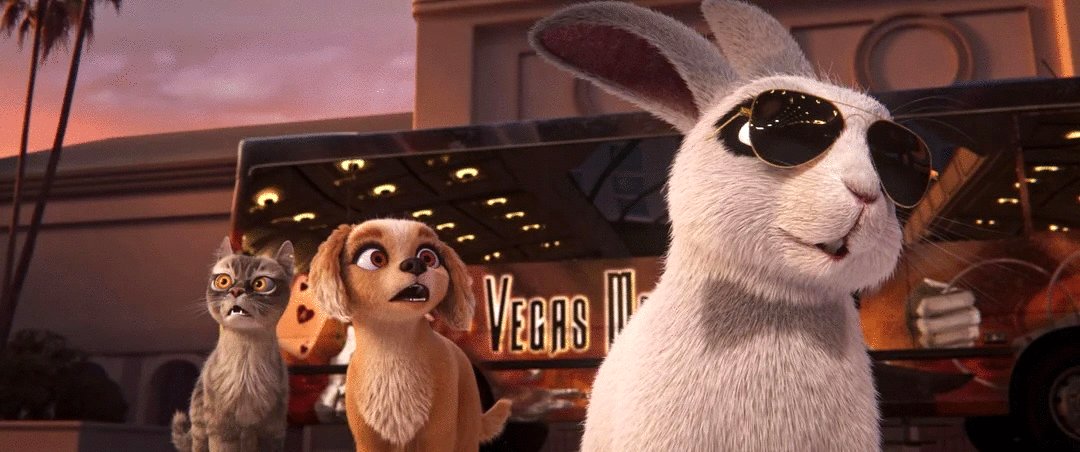 Photo du film Les aventures de Gracie et Pedro