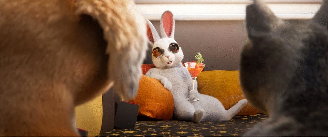 Photo du film Les aventures de Gracie et Pedro