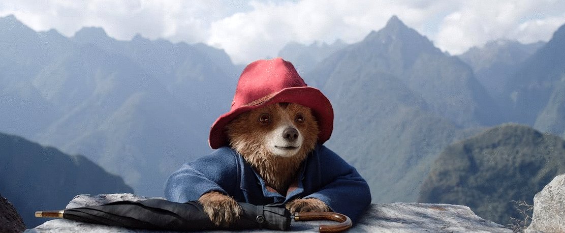 Photo du film Paddington in Peru