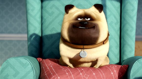 Photo from the movie The Secret Life of Pets