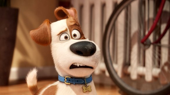 Photo from the movie The Secret Life of Pets