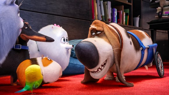 Photo from the movie The Secret Life of Pets