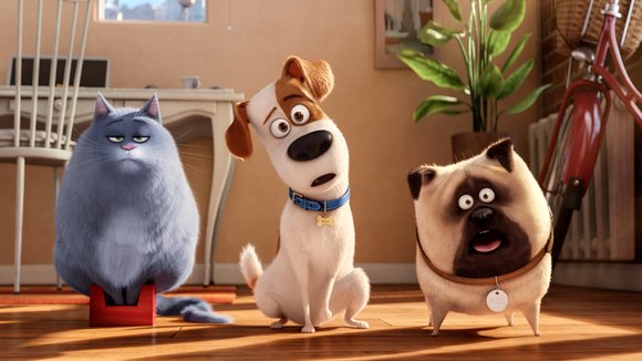 Photo from the movie The Secret Life of Pets
