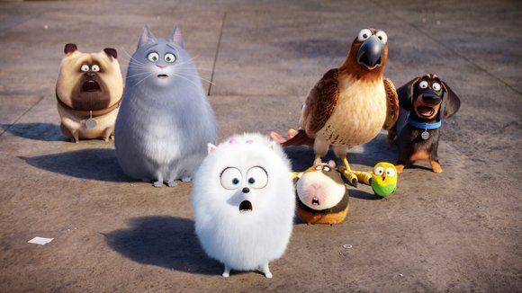 Photo from the movie The Secret Life of Pets