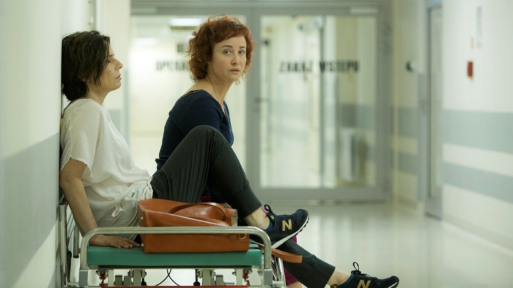 Photo du film Moje córki krowy