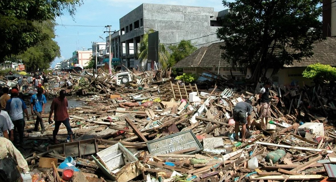 Photo from the movie Tsunami: Race Against Time [2024]