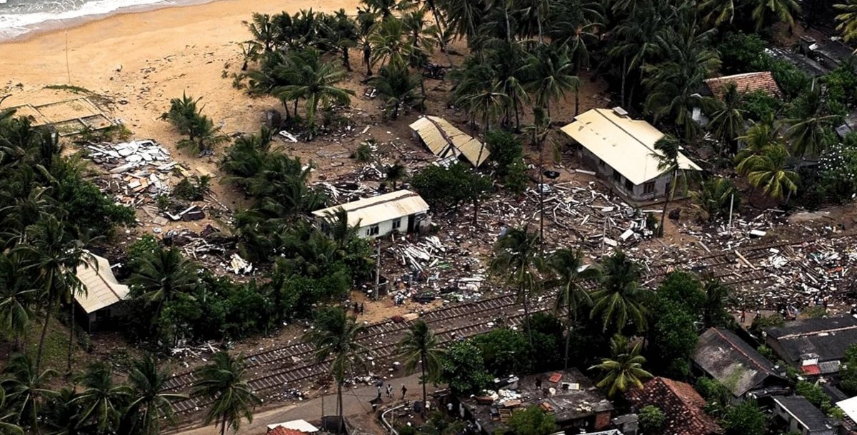 Photo from the movie Tsunami: Race Against Time [2024]